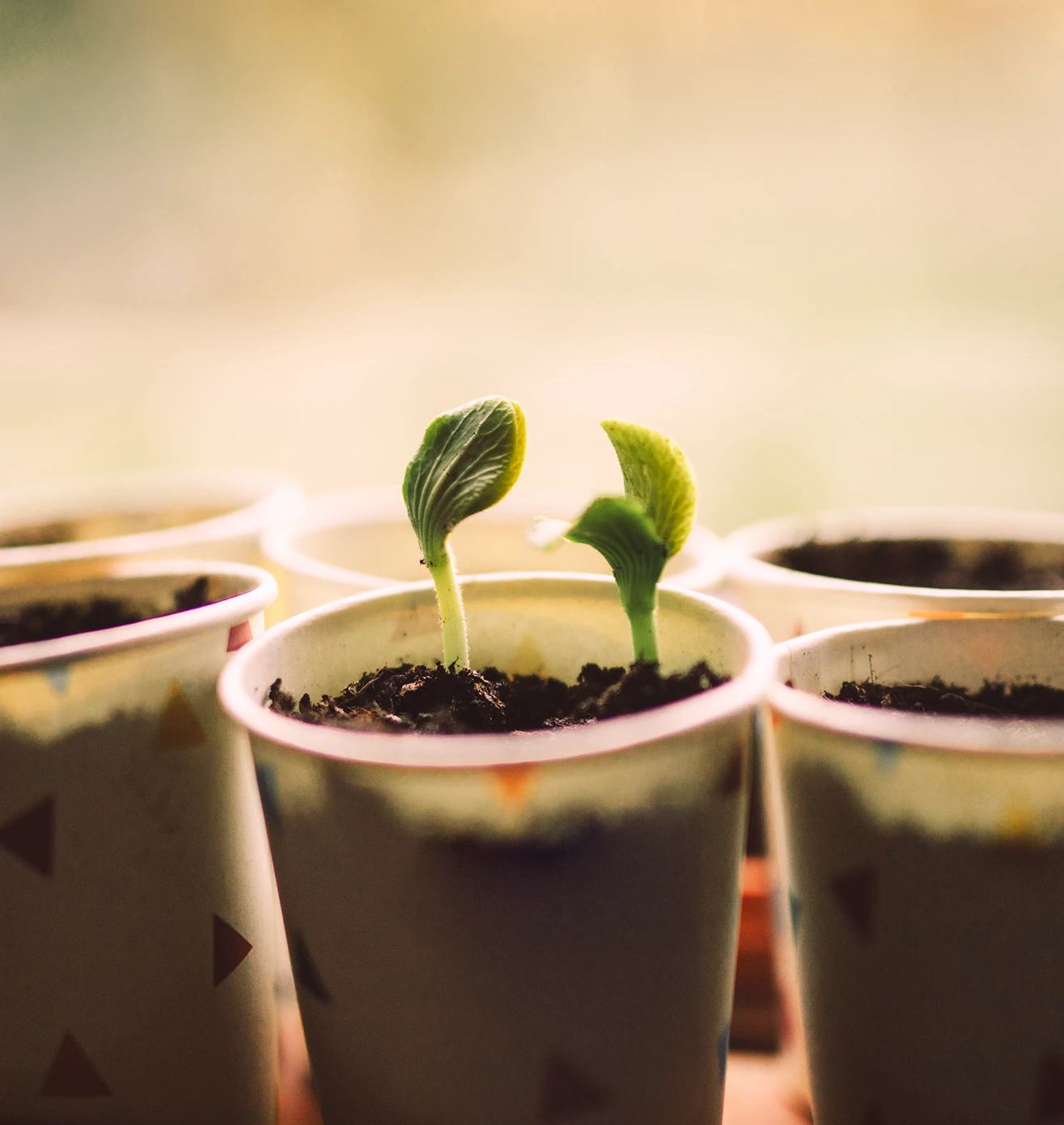 Innovation with purpose, driving sustainable growth and impact.